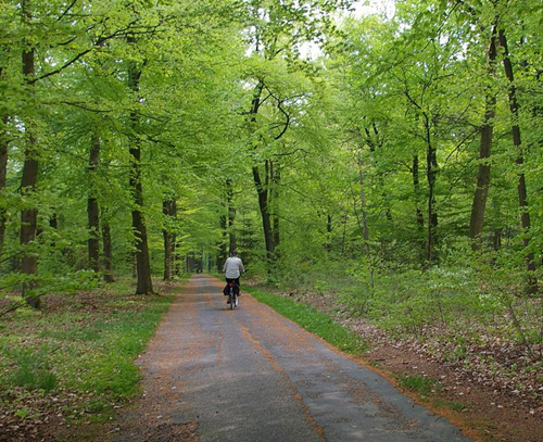Scenic cycling in Barneveld
