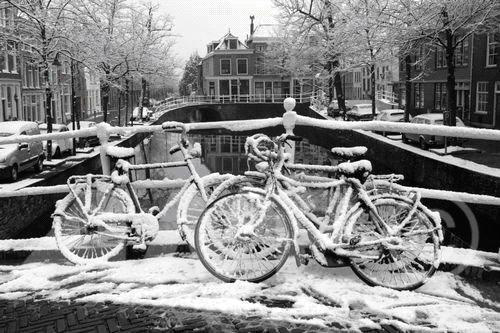 Snowy bikes in Amsterdam