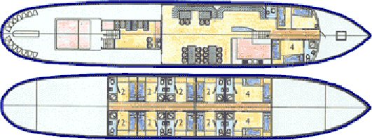 Anna Antal's floorplan
