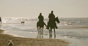 Horseback riding on the beach. Photo courtesy of Netherlands Board of Tourism