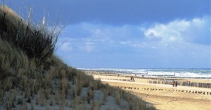 Sand dunes all along the North Sea. Photo courtesy of Netherlands Board of Tourism
