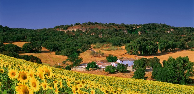 Andalusia