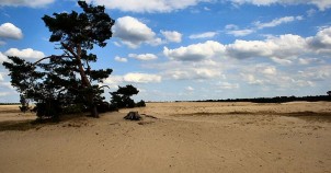 Hoge Veluwe National Park
