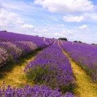 Famous Villages of Provence Photo