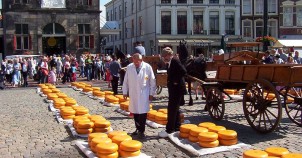 Cheese Market in Gouda