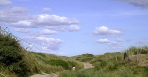 Bike path through the dunes to the shore.