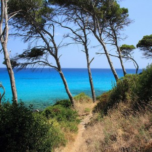 Mallorca - photo via Flickr:Franz59