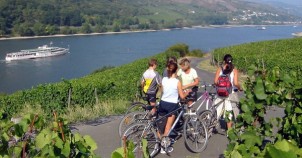 Rhine River Valley