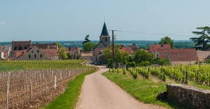 Burgundy. Photo via Flickr:Michal Osmenda
