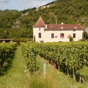 A chateau amongst vineyards. Photo via Wikimedia Commons:John