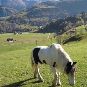 Disentis - photo via Flickr:L_K_M