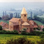 Southern Burgundy Photo