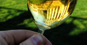 Glass of Chardonnay. Photo via Wikimedia Commons:myhobosoul