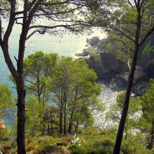 Calella de Palafrugell - photo via Flickr:Jaume Meneses