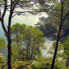 Girona Countryside Road Bike Tour Photo