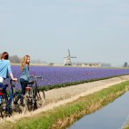 Holland Polderland Photo