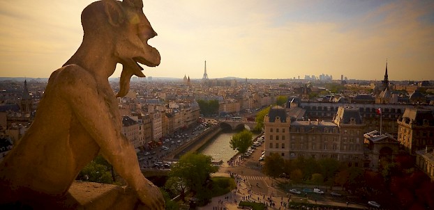 View from Notre Dame Cathedral, Paris - photo via Flickr:Moyan Brenn