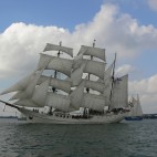 Artemis Foto