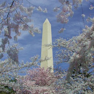 Washington Monument. Photo via Flickr:Mastery of Maps