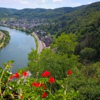 Cochem to Arnhem Photo