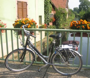 Typical hybrid used on our tours.