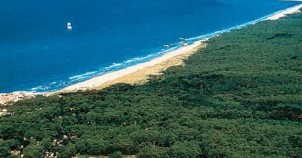 Charente Maritime coastline