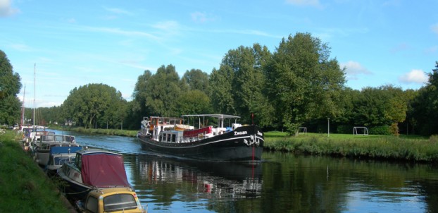 Zwaan