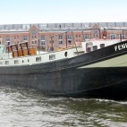 Feniks Photo