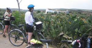 Stopping to look at cactus