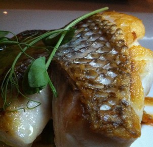 Snapper! Photo via Flickr:adactio