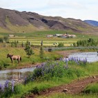 Seven Days on the Golden Circle Photo