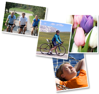 Experience TripSite Bike Tours