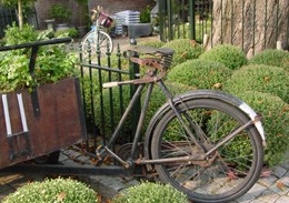 Old bicycle