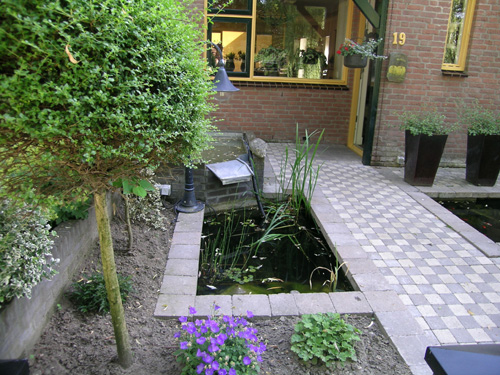 Front entrance to townhouse with small fish pond