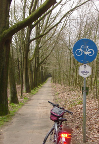 Forest bikepath